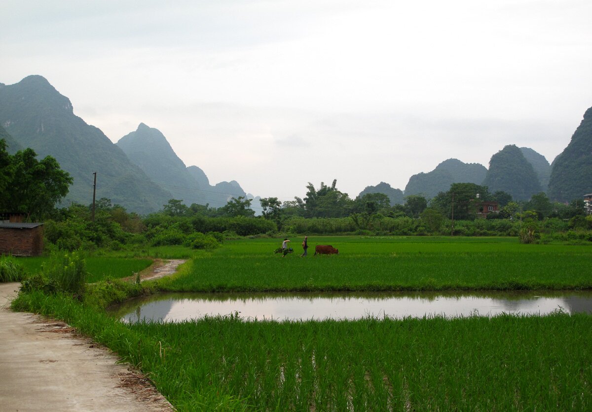China History 101 · Guilin (5 Days)