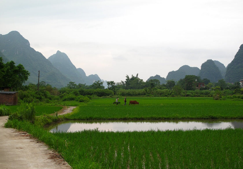 China History 101 · Guilin (5 Days)